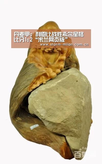 丹麦甲: 利恩比战胜希尔星格 比分1:2“米兰网页版”(图1) 米兰网页版登录