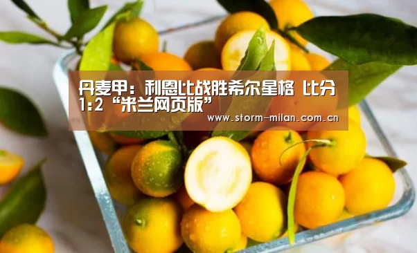 丹麦甲: 利恩比战胜希尔星格 比分1:2“米兰网页版”(图3) 米兰网页版登录