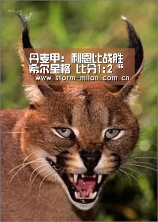 丹麦甲: 利恩比战胜希尔星格 比分1:2“米兰网页版”(图4) 米兰体育电竞