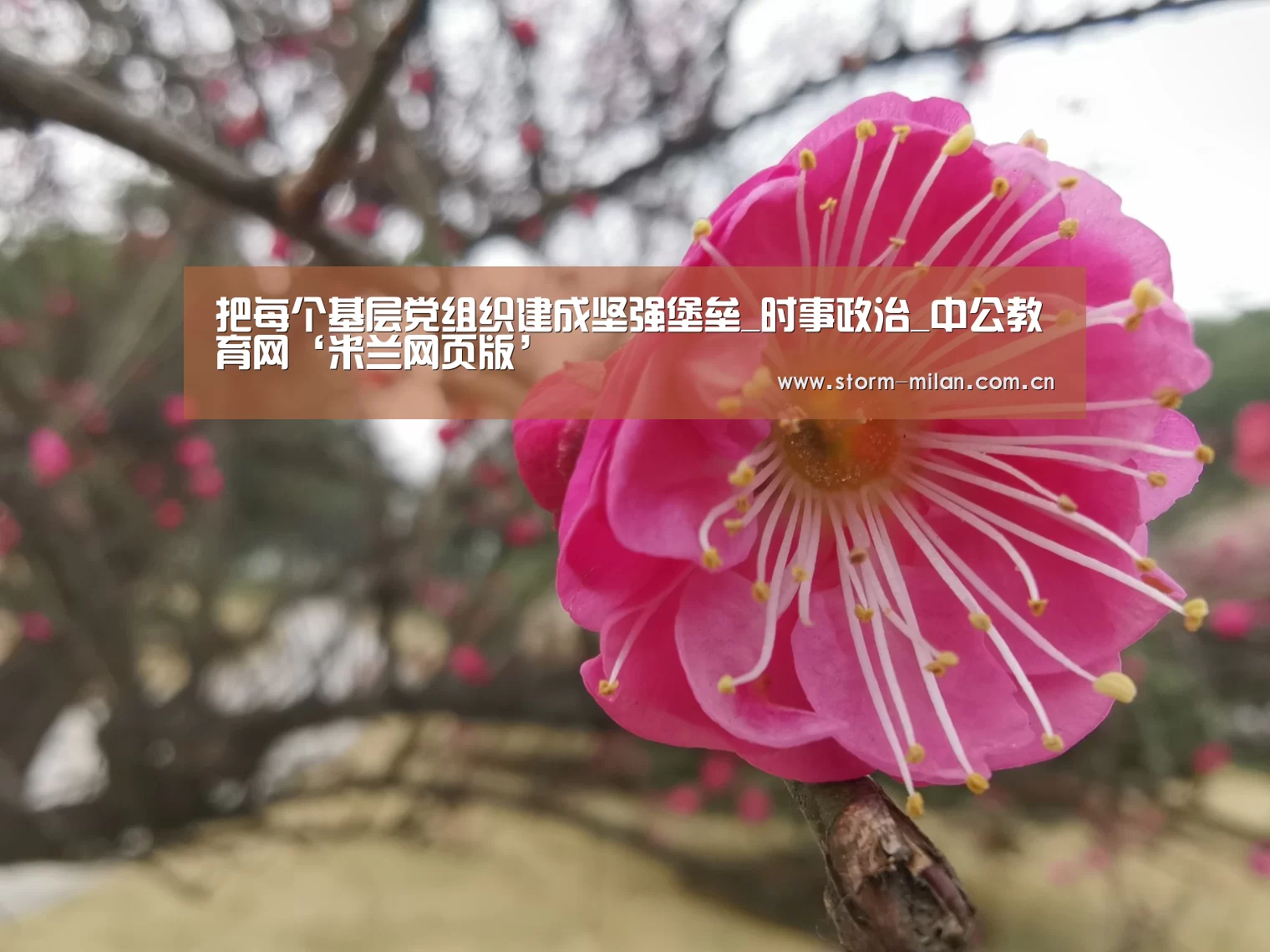 把每个基层党组织建成坚强堡垒_时事政治_中公教育网‘米兰网页版’(图1) 米兰网页版登录