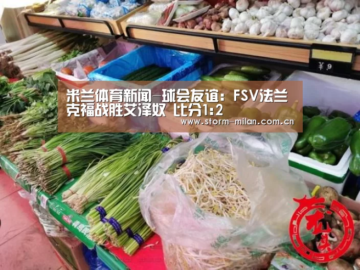 米兰体育新闻-球会友谊: FSV法兰克福战胜艾泽奴 比分1:2(图3) 米兰网页版登录