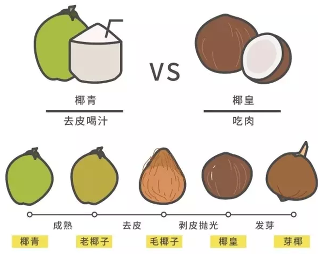 米兰网页版