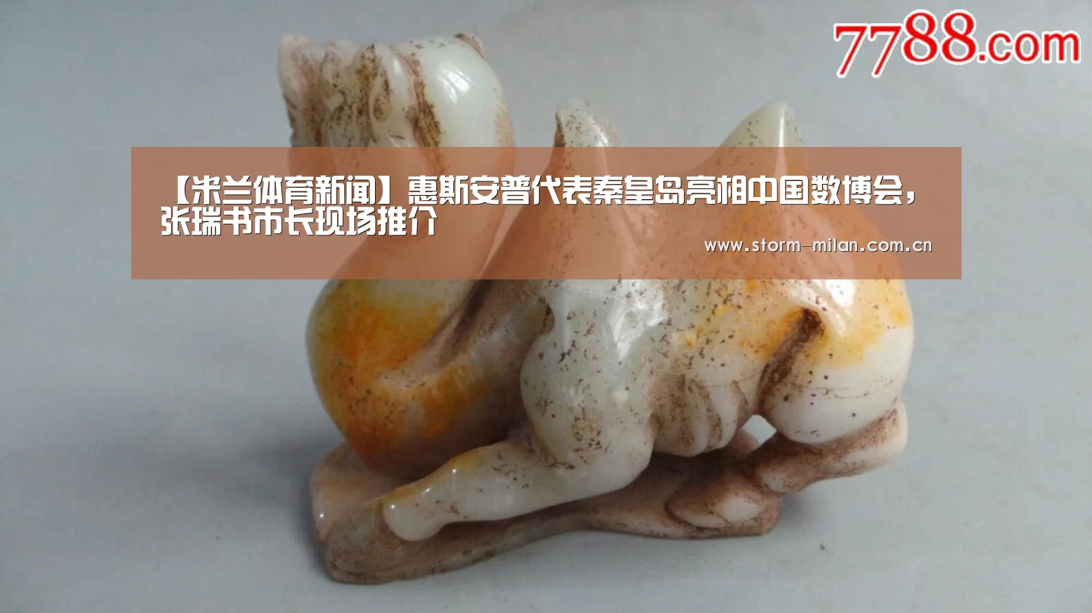 【米兰体育新闻】惠斯安普代表秦皇岛亮相中国数博会,张瑞书市长现场推介(图1) 米兰体育新闻