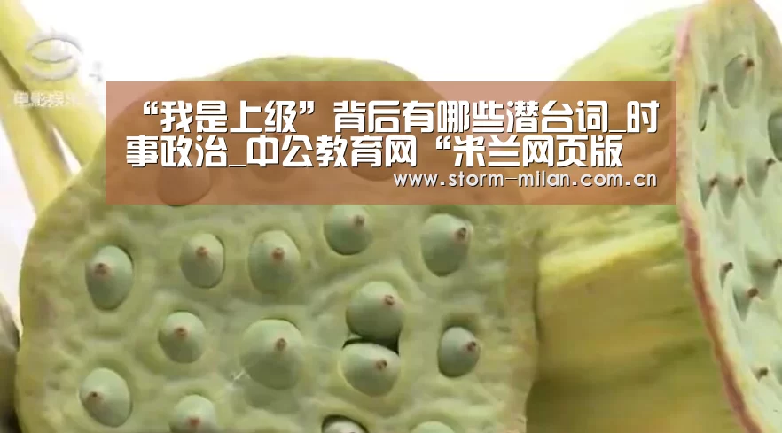 米兰体育电竞