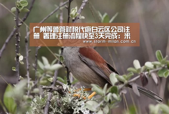 广州等鲁答财税代庖白云区公司注册 署理注册流程快至3天完成:米兰网页版(图3) 米兰体育新闻